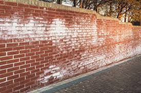 Efflorescence