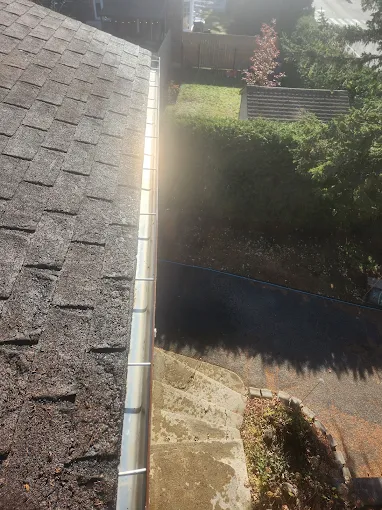 Clean gutter